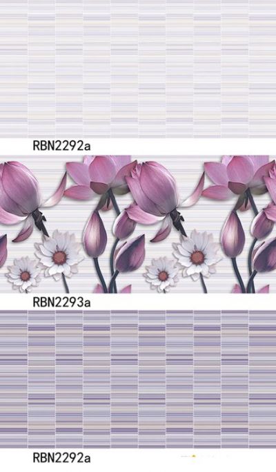 RBN2293a