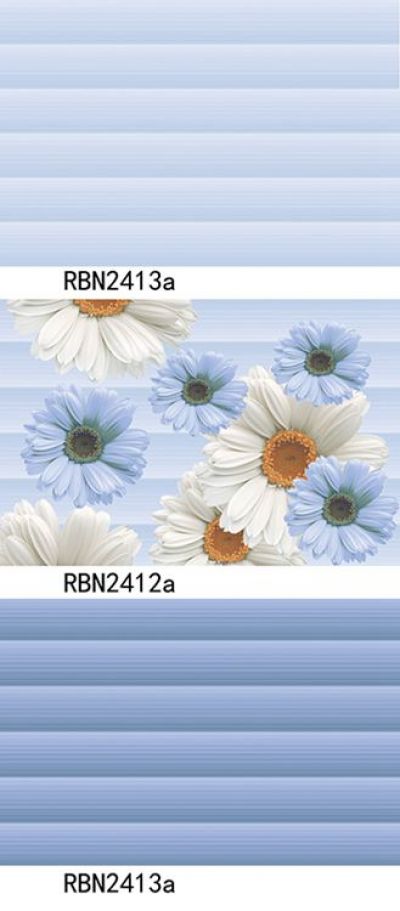 RBN2412a