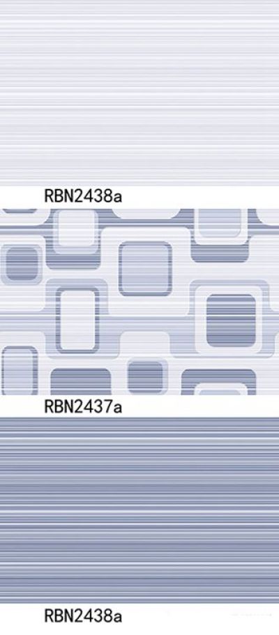 RBN2437a