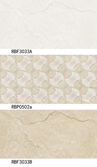 RBP0502a