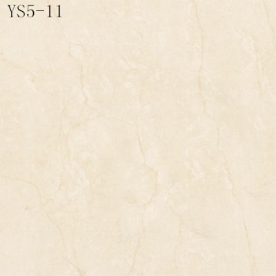 YS5-11