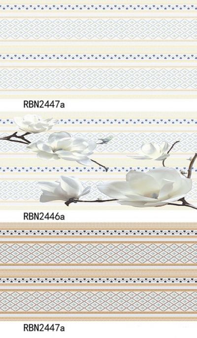 RBN2446a